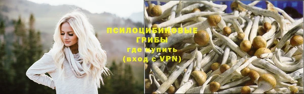 apvp Алексеевка