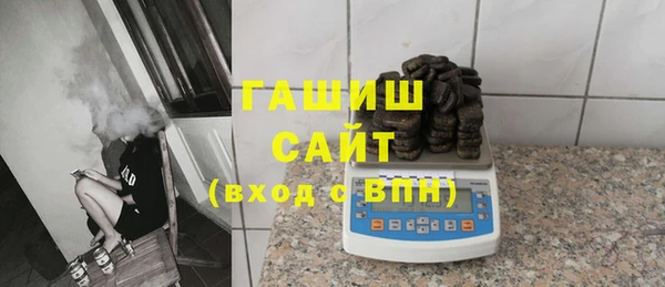 хмурый Алексин