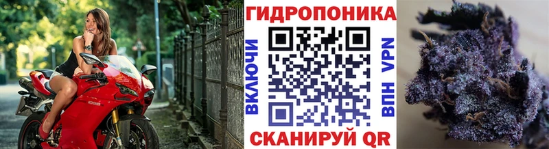 MEGA сайт  Нея  Шишки марихуана Bruce Banner 